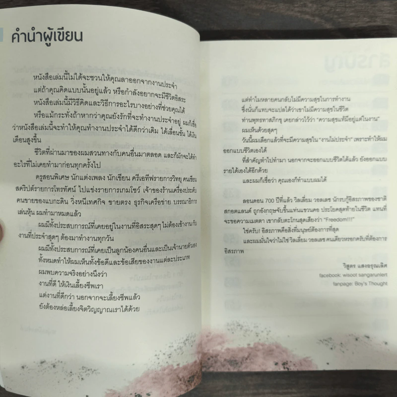 งานไม่ประจำทำเงินกว่า - วิสูตร แสงอรุณเลิศ รูปที่ 6