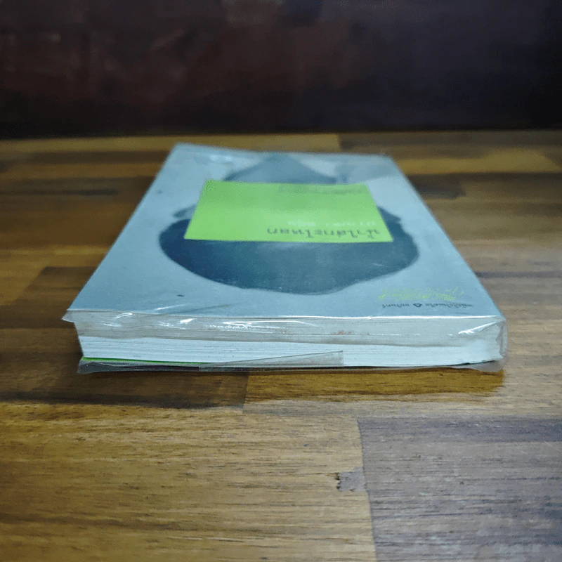 ตักน้ำใส่กะโหลก (ชะโงกดูเงา) - มนันยา รูปที่ 5