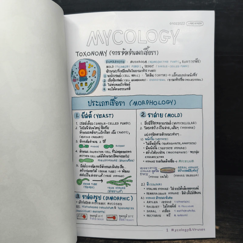 Short note mycology & Viruses รูปที่ 8