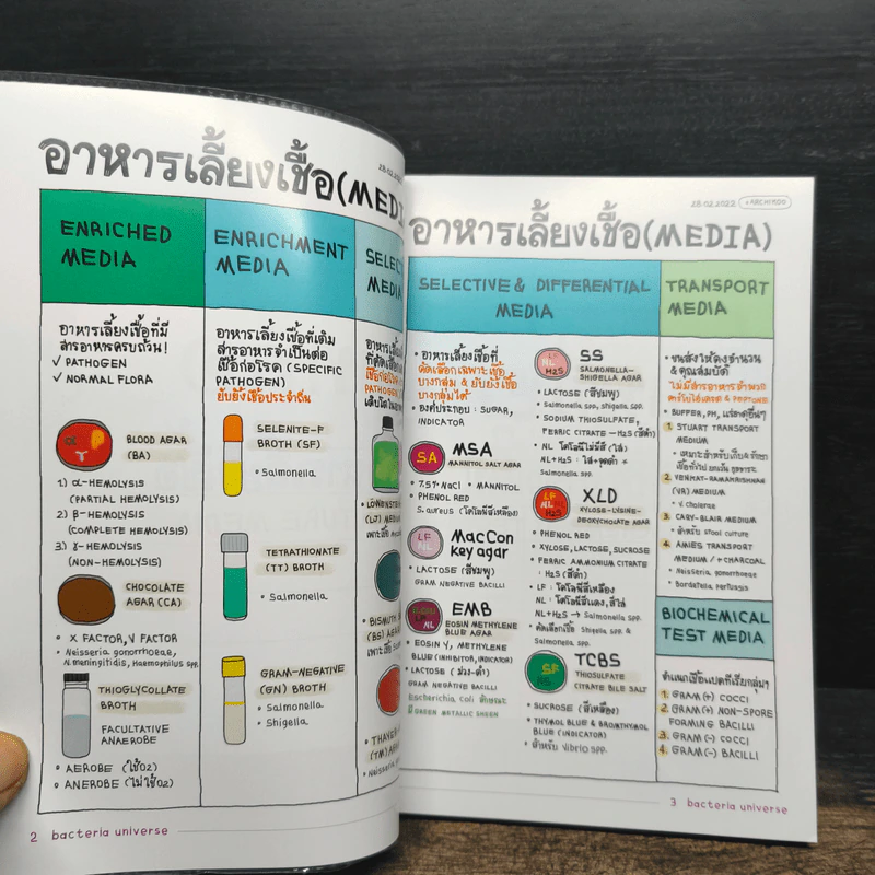 SHORTNOTE BACTERIA UNIVERSE รูปที่ 7