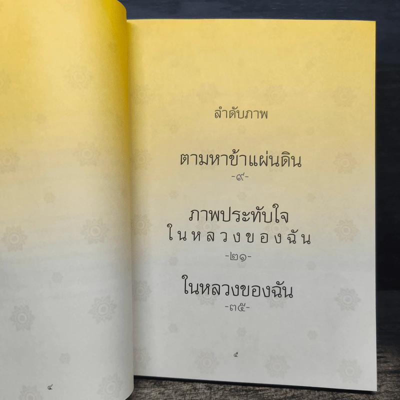 ในหลวงของฉัน รูปที่ 6