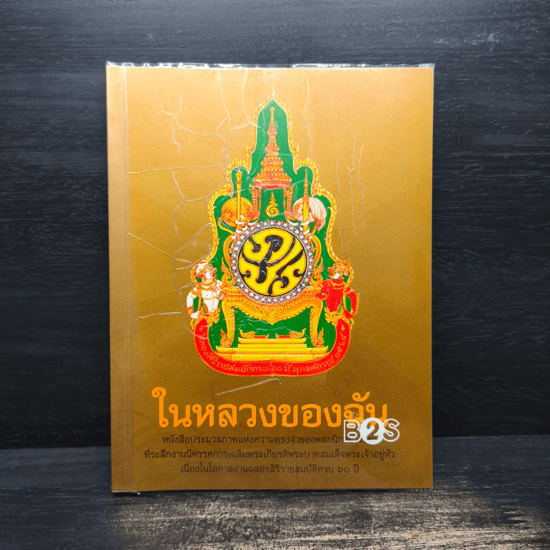 ในหลวงของฉัน รูปที่ 1