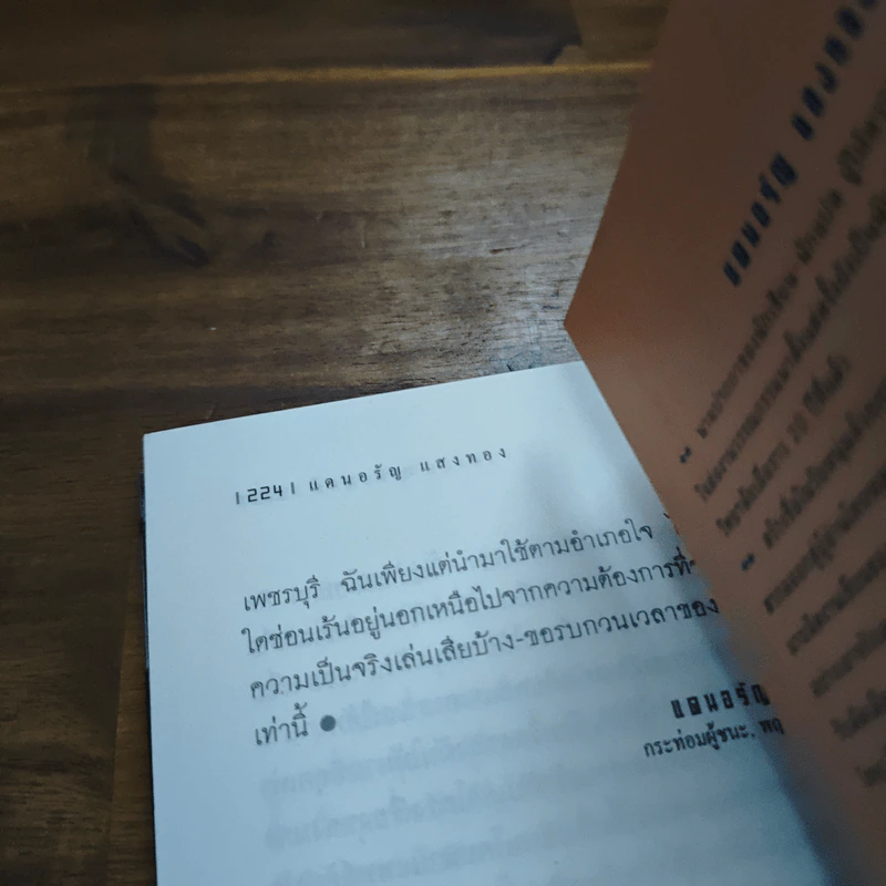 มาตานุสติ - แดนอรัญ แสงทอง รูปที่ 9