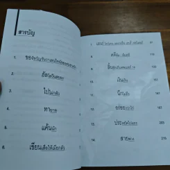 เขียนเสือให้เมียกลัว - มนันยา รูปที่ 7