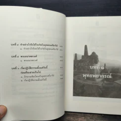 พระศรีอาริย์ จอมศาสดาโลกอนาคต - เจตสิก รูปที่ 8