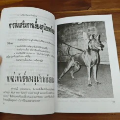 หมาหลังอาน - น.ฉัตรวงศ์ทิวา รูปที่ 7