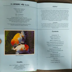 Guide to Fancy Goldfish - Dr.Chris Andrews รูปที่ 6