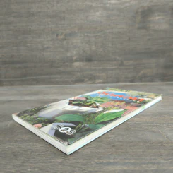 มือใหม่จัดสวน Easy Gardening - ทิพาพรรณ ศิริเวชฎารักษ์ รูปที่ 3