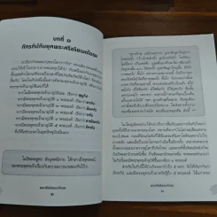 พระศรีอริยเมตไตรย - ณัฐนภ ตระกลธนภาส รูปที่ 7