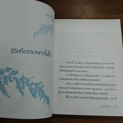มองเป็นก็เห็นสุข - รินใจ รูปที่ 7