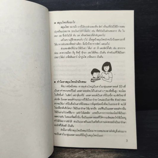เกร็ดความรู้สมุนไพร - วันดี กฤษณพันธ์ รูปที่ 12