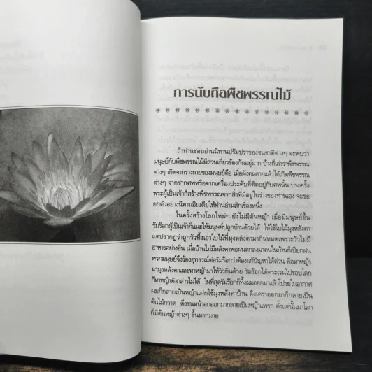 พืชพรรณไม้มงคล - ส.พลายน้อย รูปที่ 10
