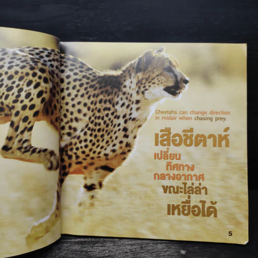 แปลกแต่จริง 300 เรื่องจริงที่ไม่ธรรดา รูปที่ 7