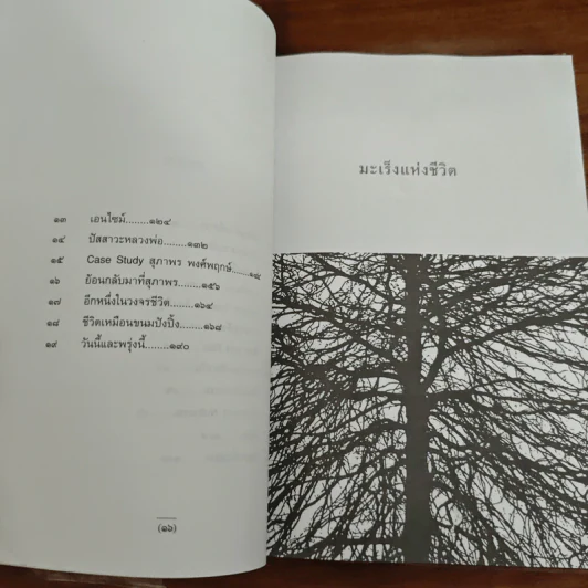 มะเร็งแห่งชีวิต - สาทิส อินทรกำแหง รูปที่ 8