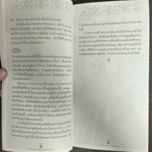 ฟังเสียงดอกไม้ทักทายกัน - รอมแพง อริยมาศ รูปที่ 8