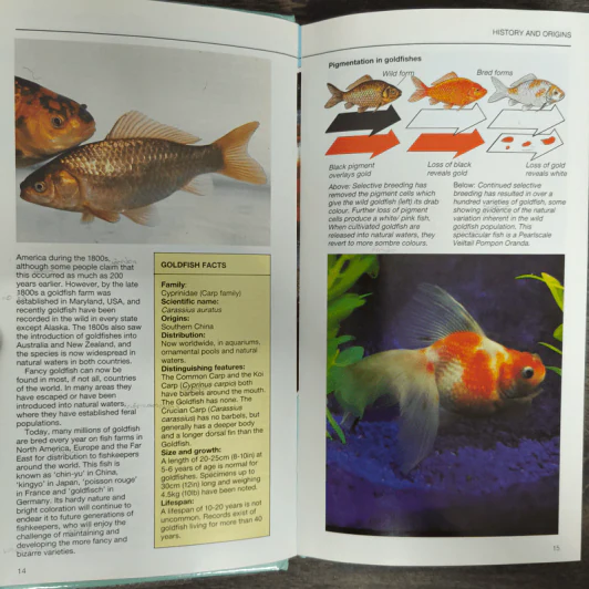 Guide to Fancy Goldfish - Dr.Chris Andrews รูปที่ 7