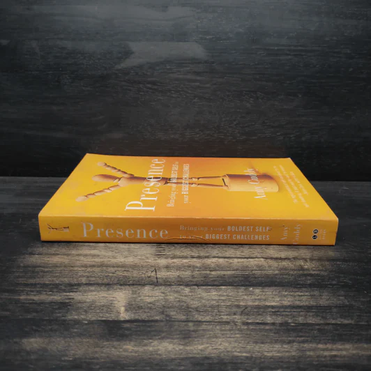 Persence - Amy Cuddy รูปที่ 3
