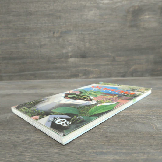 มือใหม่จัดสวน Easy Gardening - ทิพาพรรณ ศิริเวชฎารักษ์ รูปที่ 3