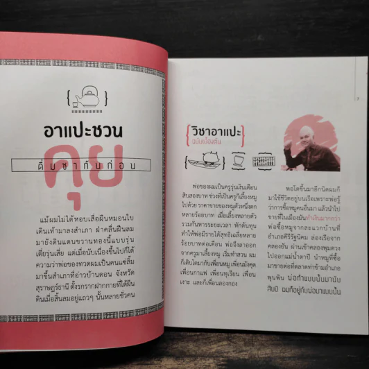 วิชาอาแปะ ล้ม ลุก คลุก รวย อาแปะสอนรวย - ธวัชชัย พืชผล รูปที่ 7