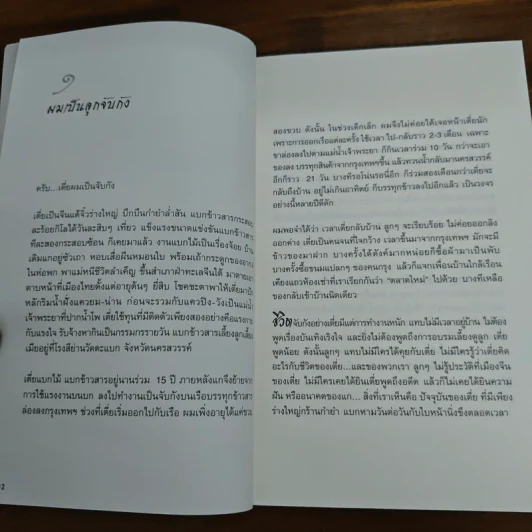 ไอ้เพ้ง จากลูกจับกัง สู่รัฐมนตรี - พงษ์ศักดิ์ รักตพงศ์ไพศาล รูปที่ 8