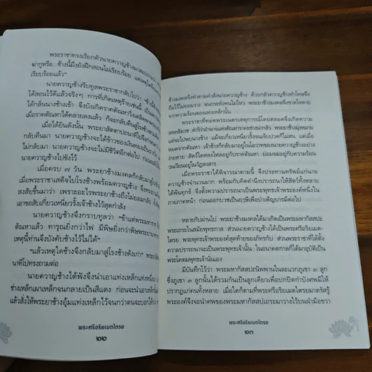 พระศรีอริยเมตไตรย - ณัฐนภ ตระกลธนภาส รูปที่ 8