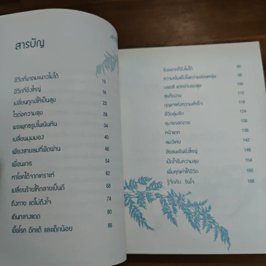 มองเป็นก็เห็นสุข - รินใจ รูปที่ 6