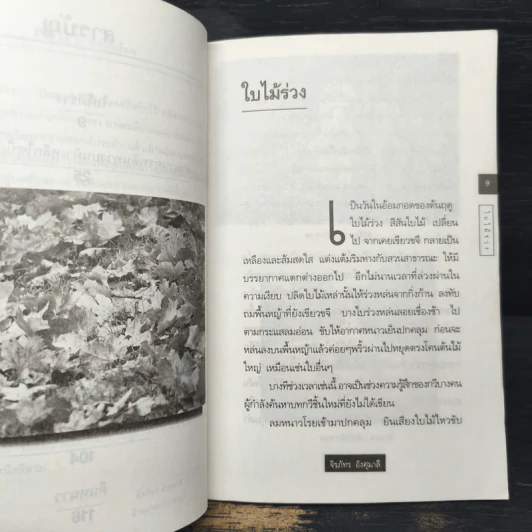 ใบไม้ร่วง - จิรภัทร อังศุมาลี รูปที่ 8