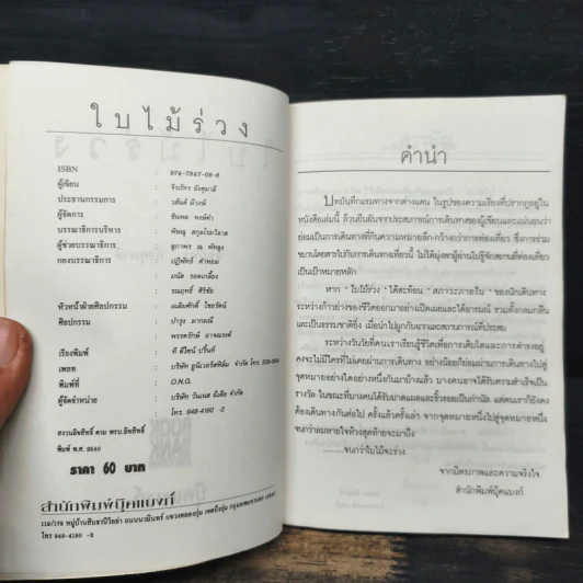 ใบไม้ร่วง - จิรภัทร อังศุมาลี รูปที่ 6