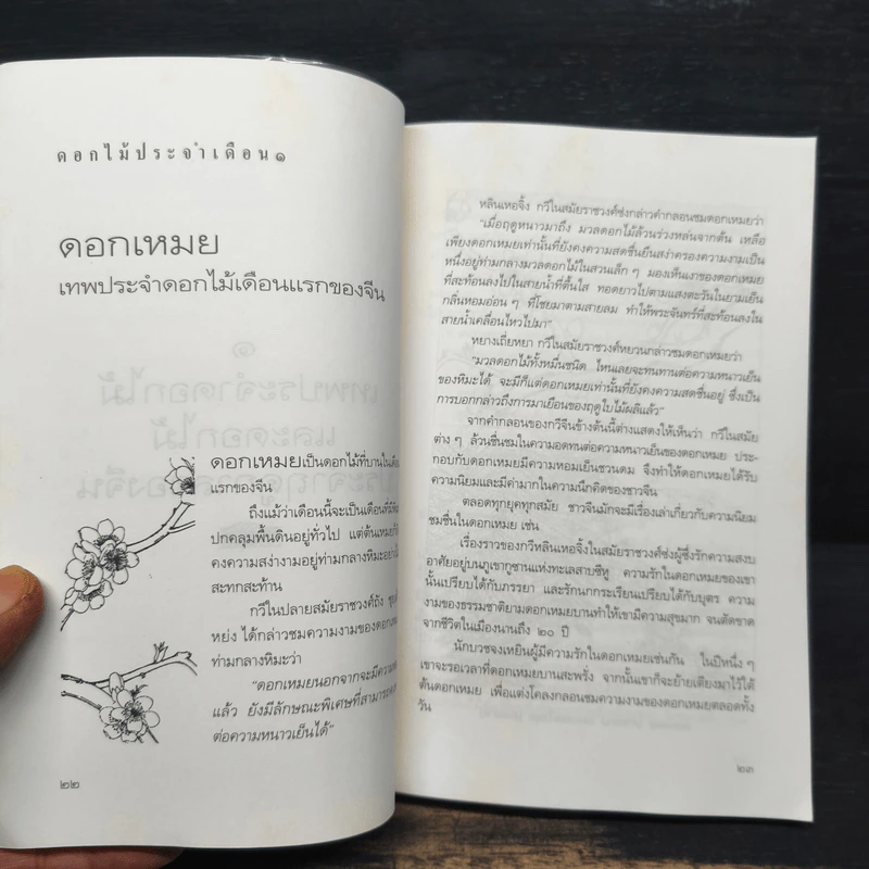 มิ่งไม้มาลีจีน - พรพรรณ จันทโรนานนท์ รูปที่ 9