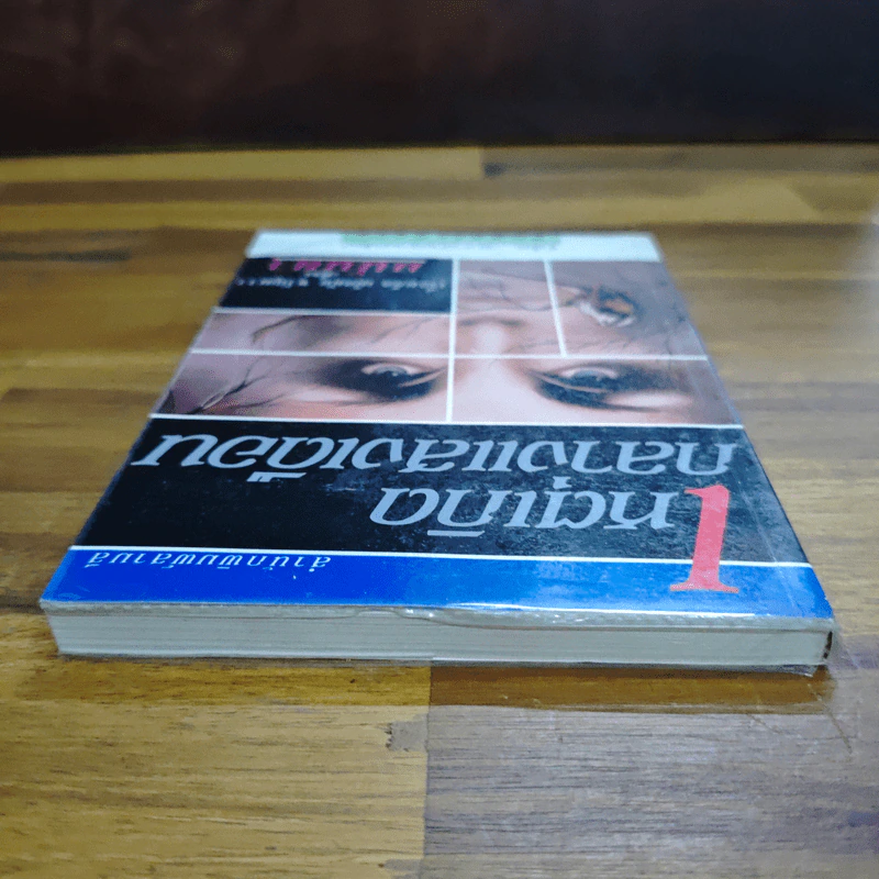เหตุเกิดกลางแสงเดือน - มนันยา รูปที่ 5