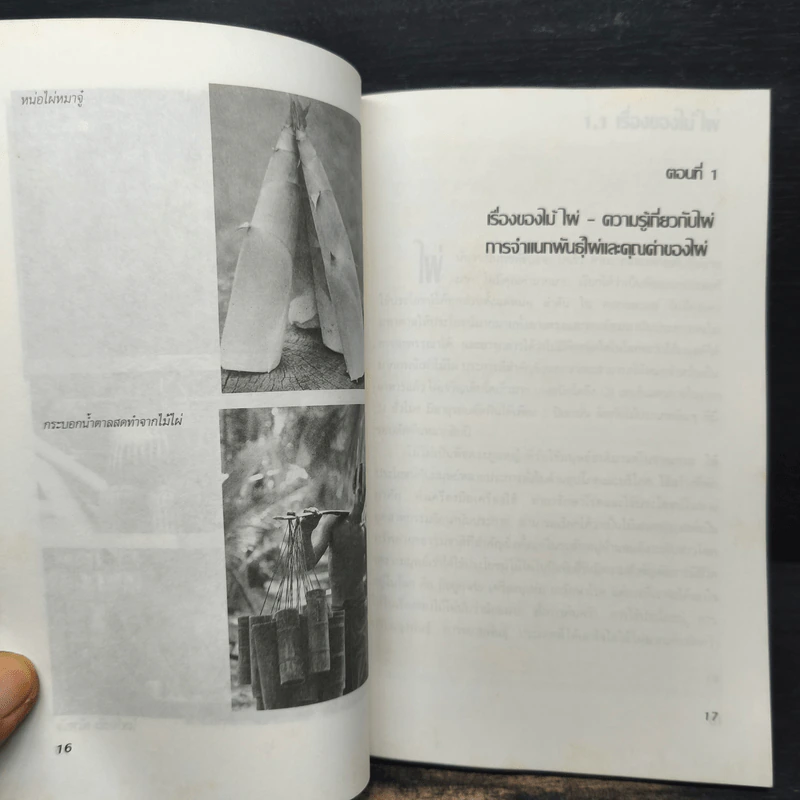 ไม้ไผ่ สำหรับคนรักไผ่ - สุทัศน์ เดชวิสิทธิ์ รูปที่ 8