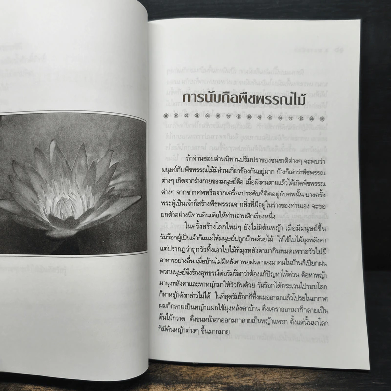 พืชพรรณไม้มงคล - ส.พลายน้อย รูปที่ 10