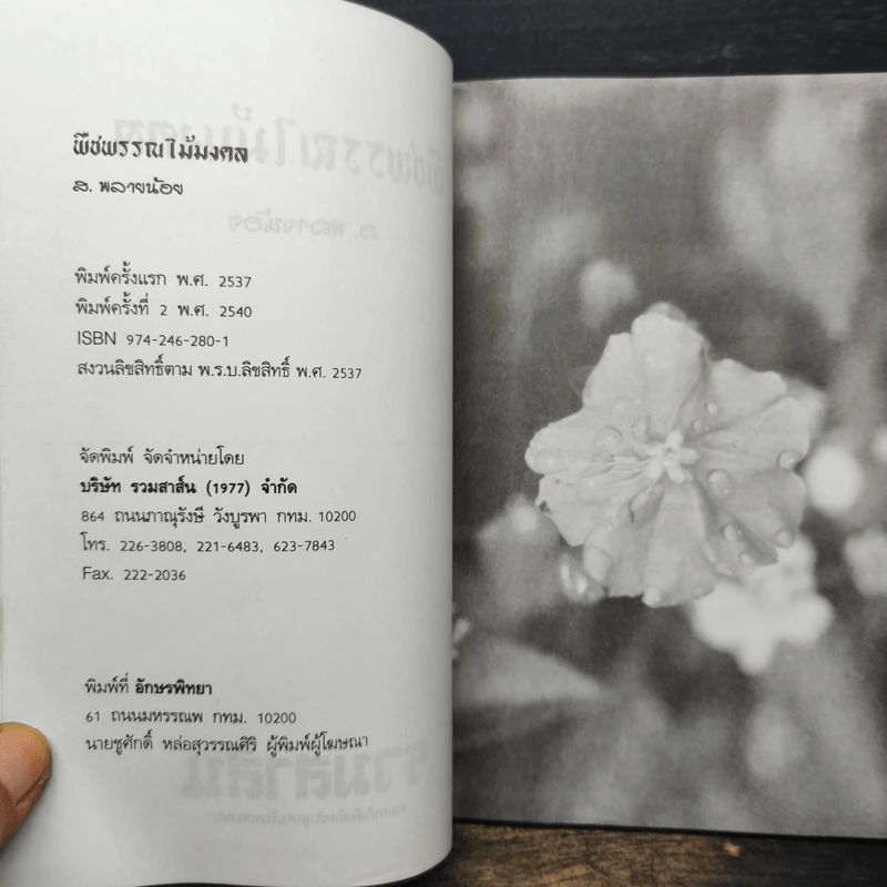 พืชพรรณไม้มงคล - ส.พลายน้อย รูปที่ 6