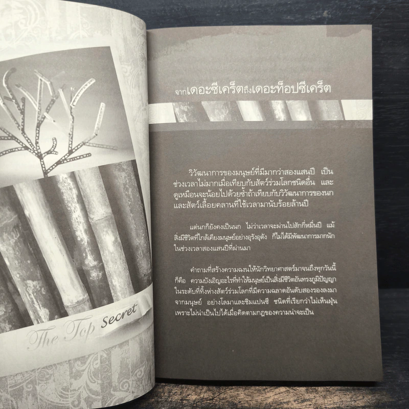 The Top Secret เดอะท็อปซีเคร็ต - ทันตแพทย์สม สุจีรา รูปที่ 7