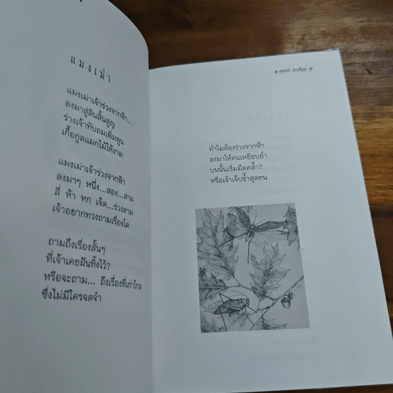 เสกสรรค์ ประเสริฐกุล รวมบทกวีและเรื่องสั้นฉบับพิเศษ รูปที่ 7