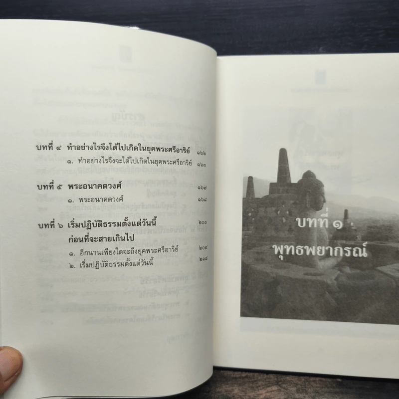 พระศรีอาริย์ จอมศาสดาโลกอนาคต - เจตสิก รูปที่ 8