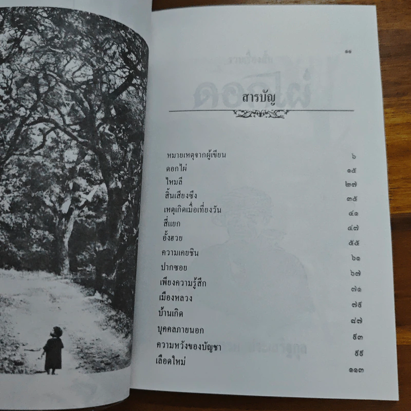 ดอกไผ่ - เสกสรรค์ ประเสริฐกุล รูปที่ 7