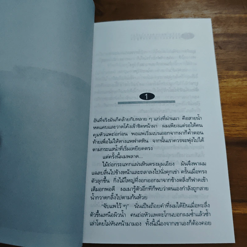 ทางทากและสายน้ำเชี่ยว - เสกสรรค์ ประเสริฐกุล รูปที่ 7