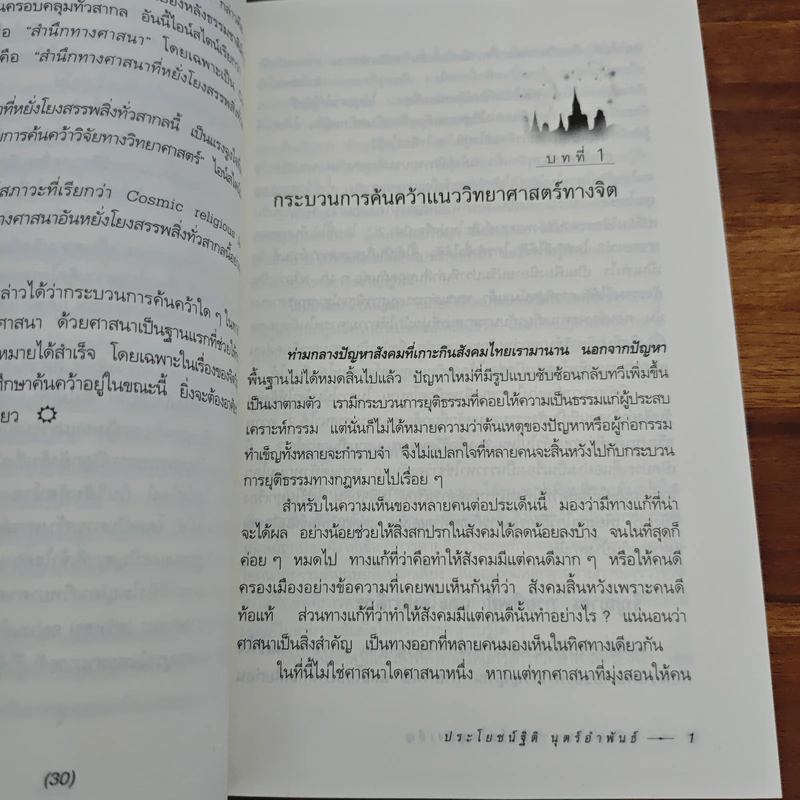 เมื่อความตายไม่ใช่เหตุบังเอิญ - ประโยชน์ฐิติ นุตร์อำพันธ์ รูปที่ 10