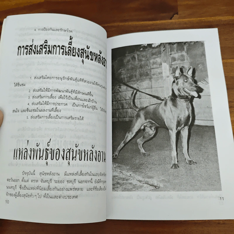 หมาหลังอาน - น.ฉัตรวงศ์ทิวา รูปที่ 7