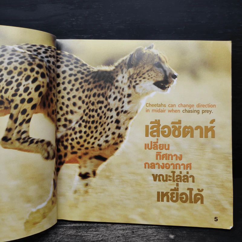 แปลกแต่จริง 300 เรื่องจริงที่ไม่ธรรดา รูปที่ 7