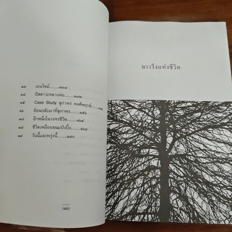 มะเร็งแห่งชีวิต - สาทิส อินทรกำแหง รูปที่ 8