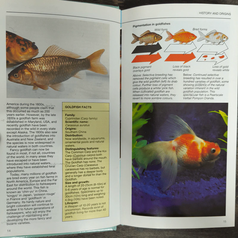 Guide to Fancy Goldfish - Dr.Chris Andrews รูปที่ 7