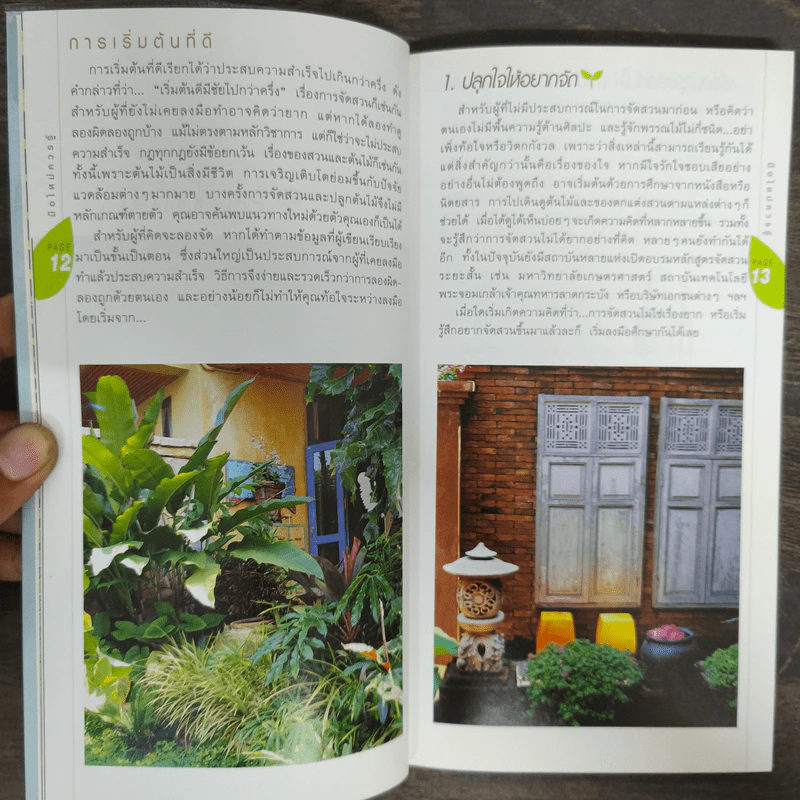มือใหม่จัดสวน Easy Gardening - ทิพาพรรณ ศิริเวชฎารักษ์ รูปที่ 7