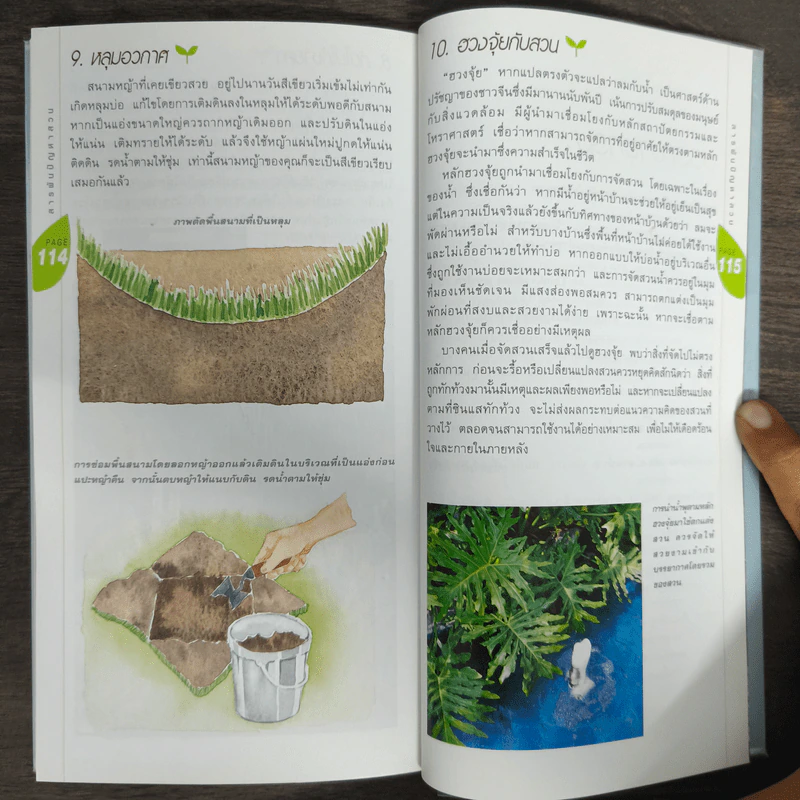 มือใหม่จัดสวน Easy Gardening - ทิพาพรรณ ศิริเวชฎารักษ์ รูปที่ 8
