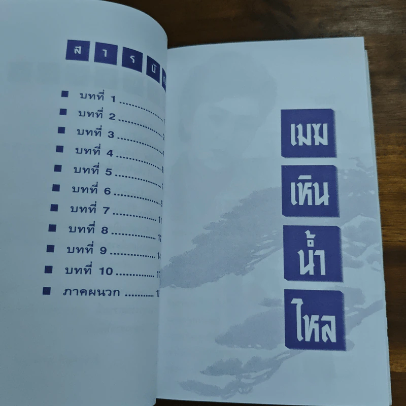 เมฆเหิน น้ำไหล - สมเด็จพระเทพรัตนราชสุดาฯ รูปที่ 6