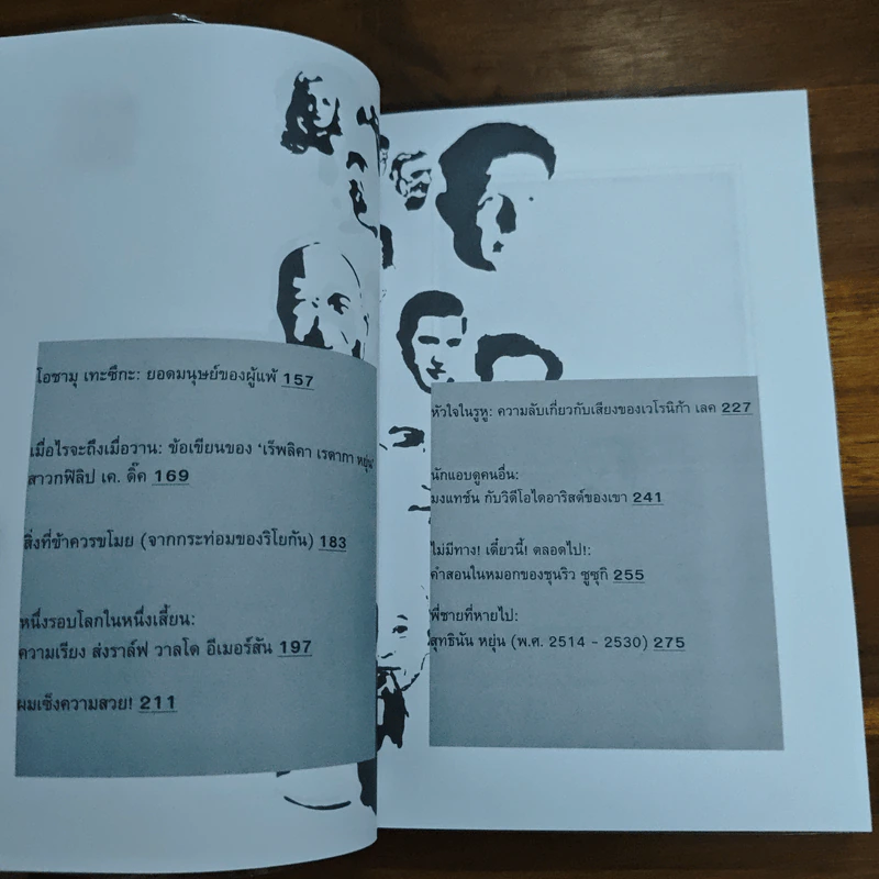 กระทบไหล่เขา - ปราบดา หยุ่น รูปที่ 8