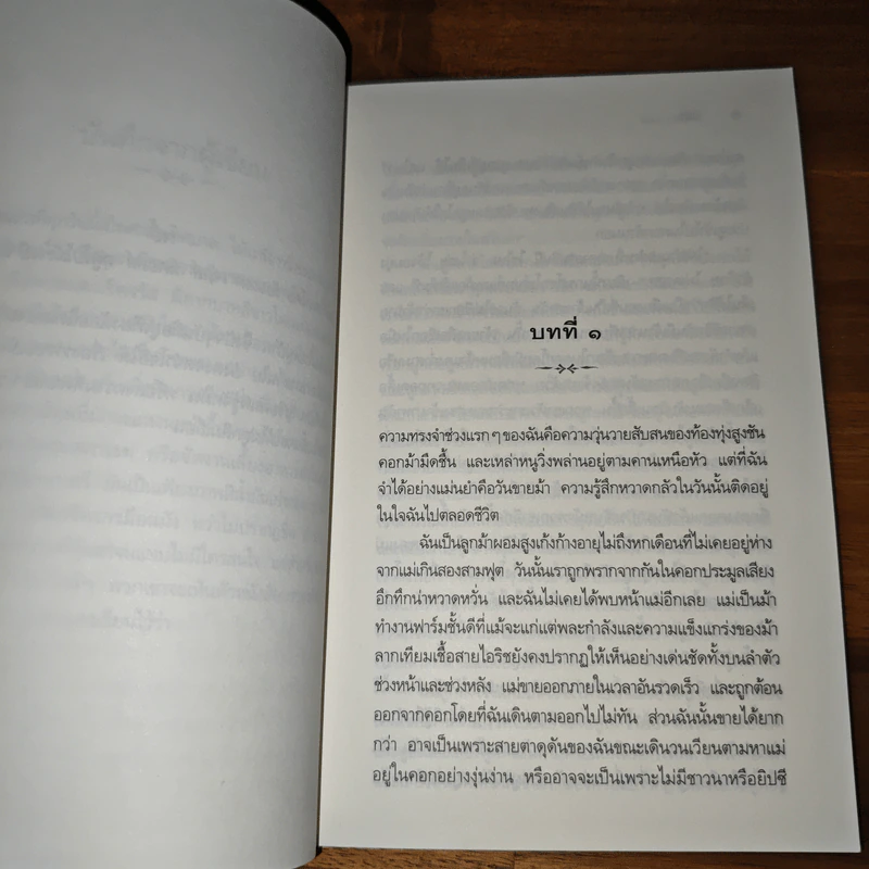 ม้าศึก War Horse - Michael Morpurgo (ไมเคิล มอร์พูร์โก) รูปที่ 7