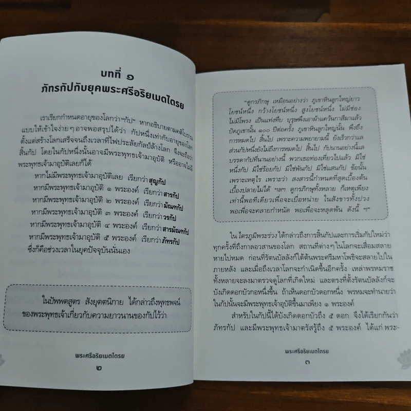 พระศรีอริยเมตไตรย - ณัฐนภ ตระกลธนภาส รูปที่ 7