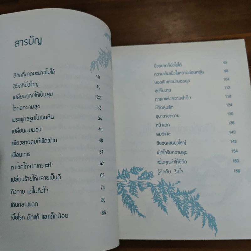 มองเป็นก็เห็นสุข - รินใจ รูปที่ 6